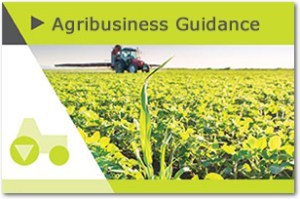 Agribusiness Guidance